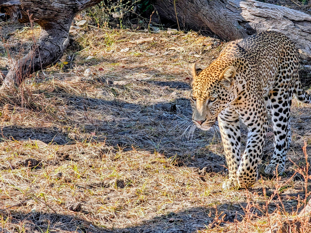 Msandile River Lodge主图