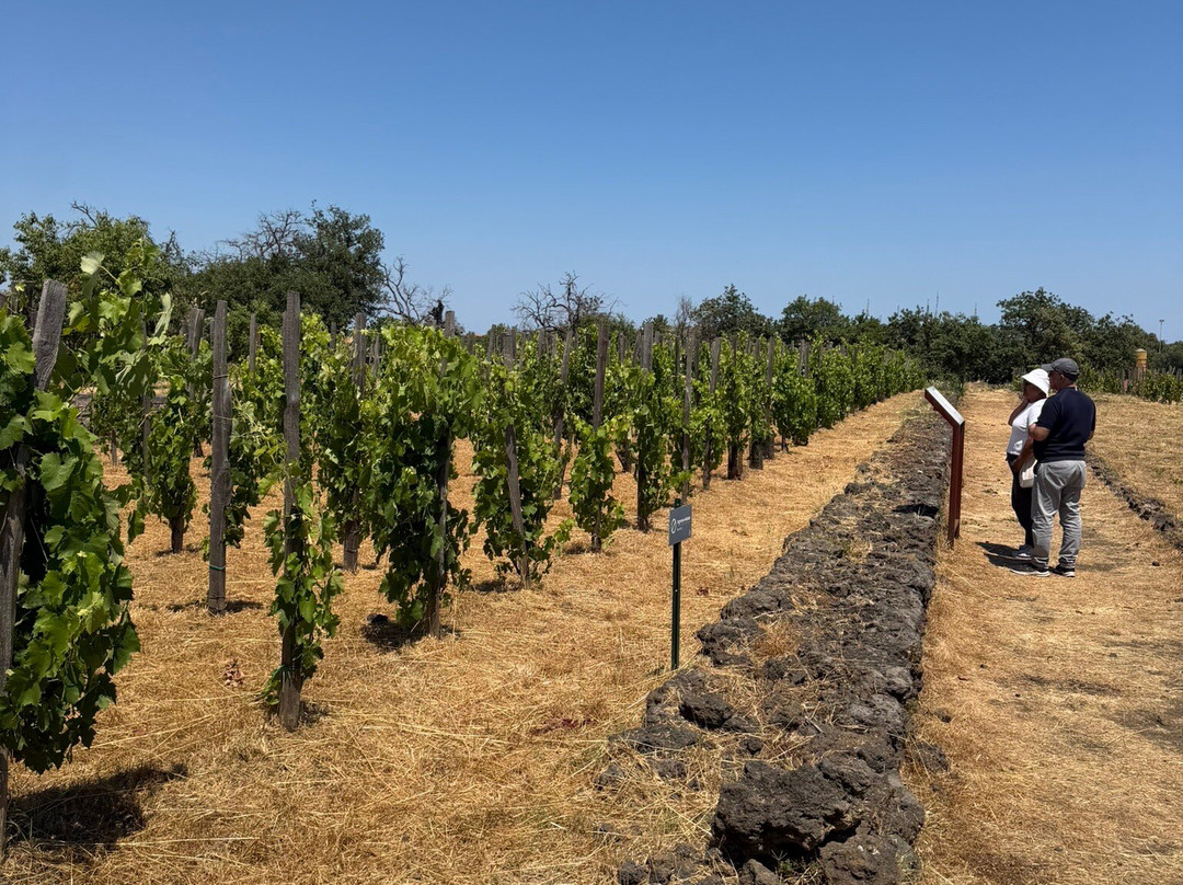Etna Urban Winery-San Gregorio di Catania必去景点