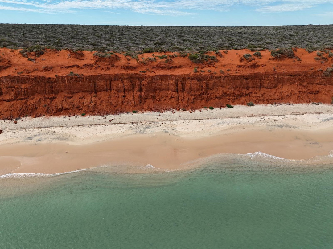 Shark Bay Coastal Tours-德纳姆必去景点