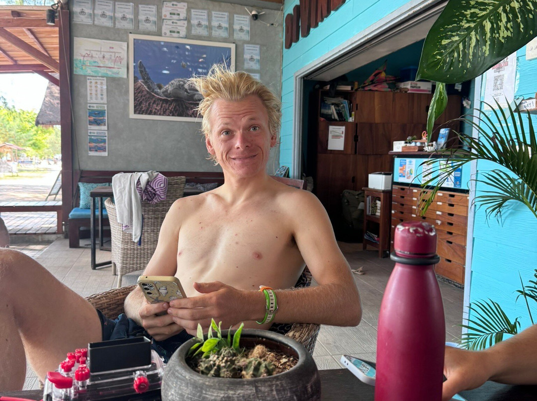 Divine Divers-Gili Meno必去景点