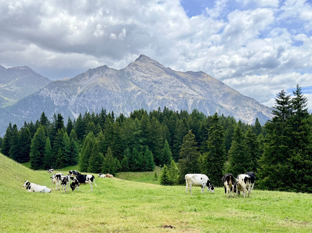 Lenzerheide Ski Resort-Lenzerheide必去景点