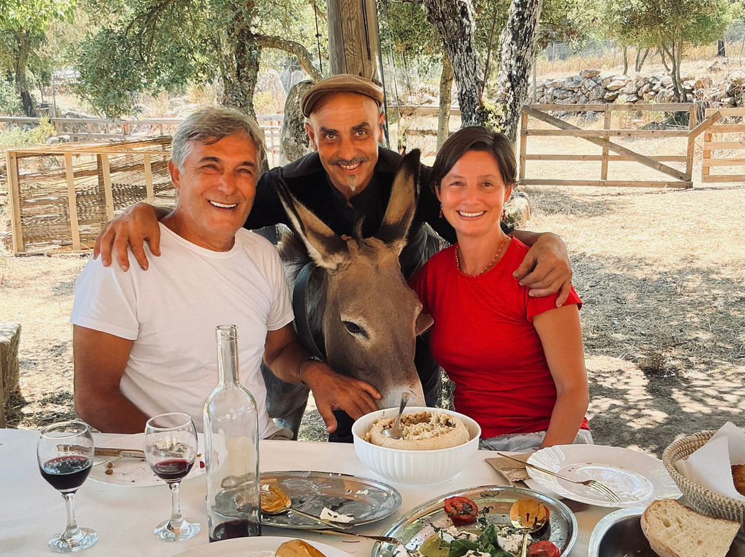 Sardinian Donkeys Farm Is Burriccheddus-Burcei必去景点