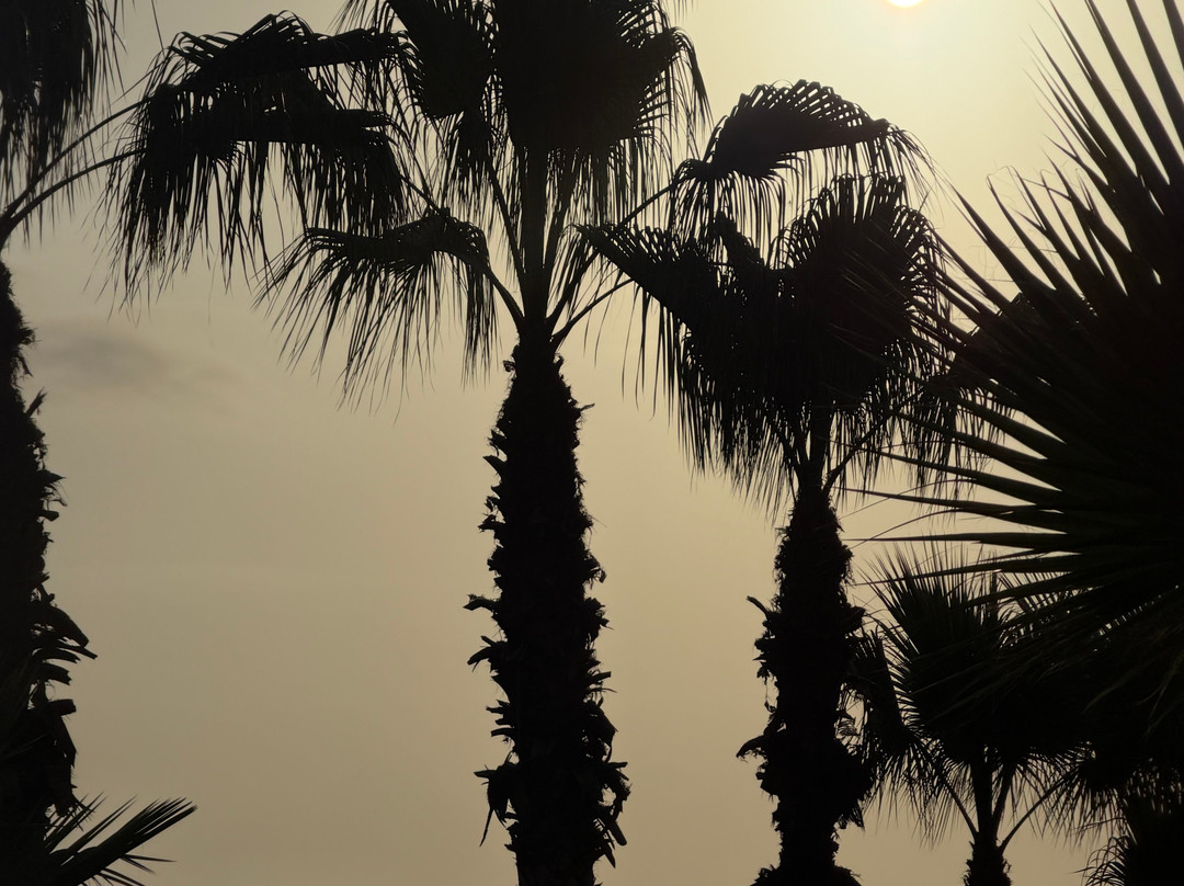 南帕诸岛海滩拉昆塔温德姆套房酒店(South Padre Island Beach)主图