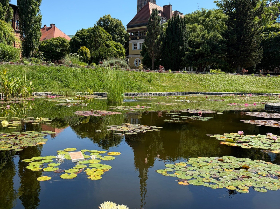 Botanical Garden of the University of Wrocław-弗罗茨瓦夫必去景点