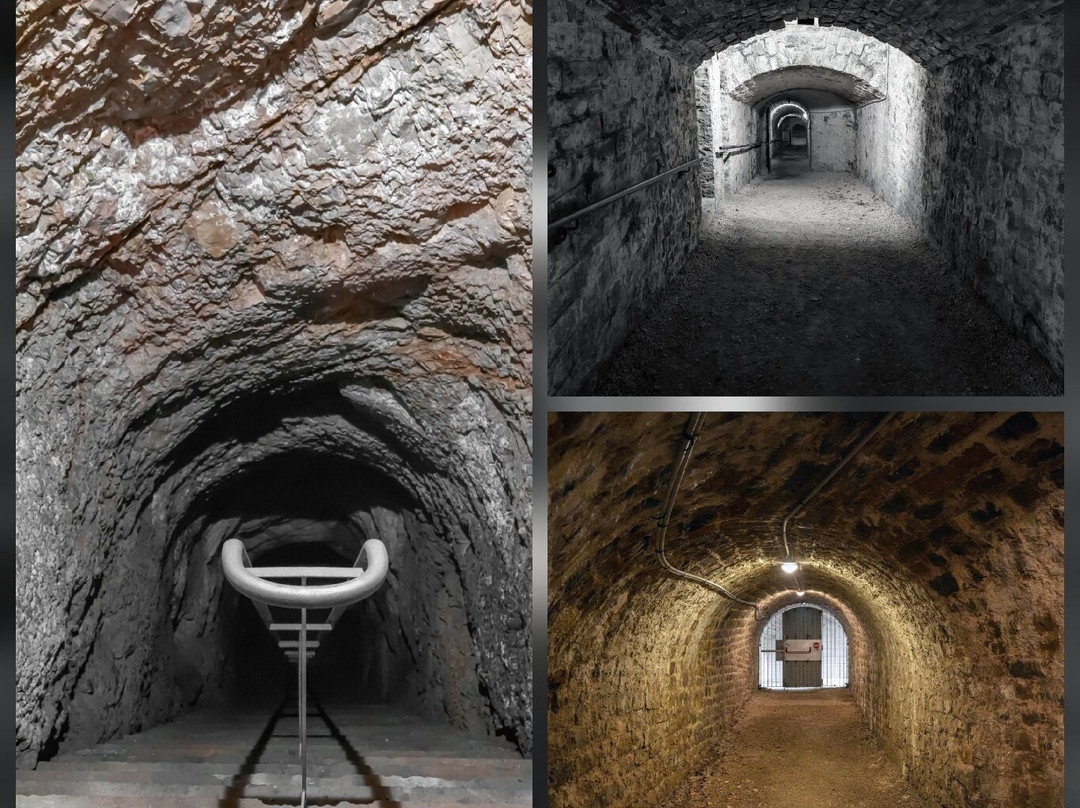 Fort du Mont-Bart-Bavans必去景点