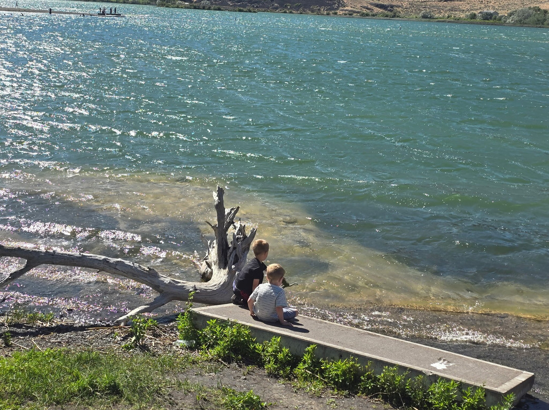 Sun Lakes Park Resort主图