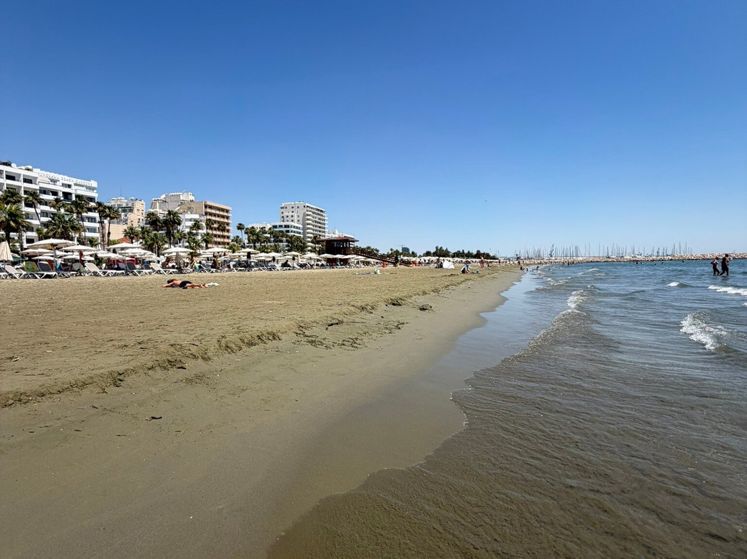 Finikoudes Beach-拉纳加必去景点