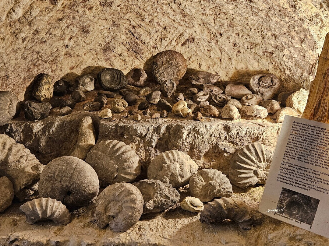 Caves Cathelineau-Chancay必去景点