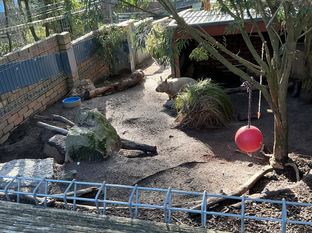 Ballarat Wildlife Park-巴拉瑞特必去景点