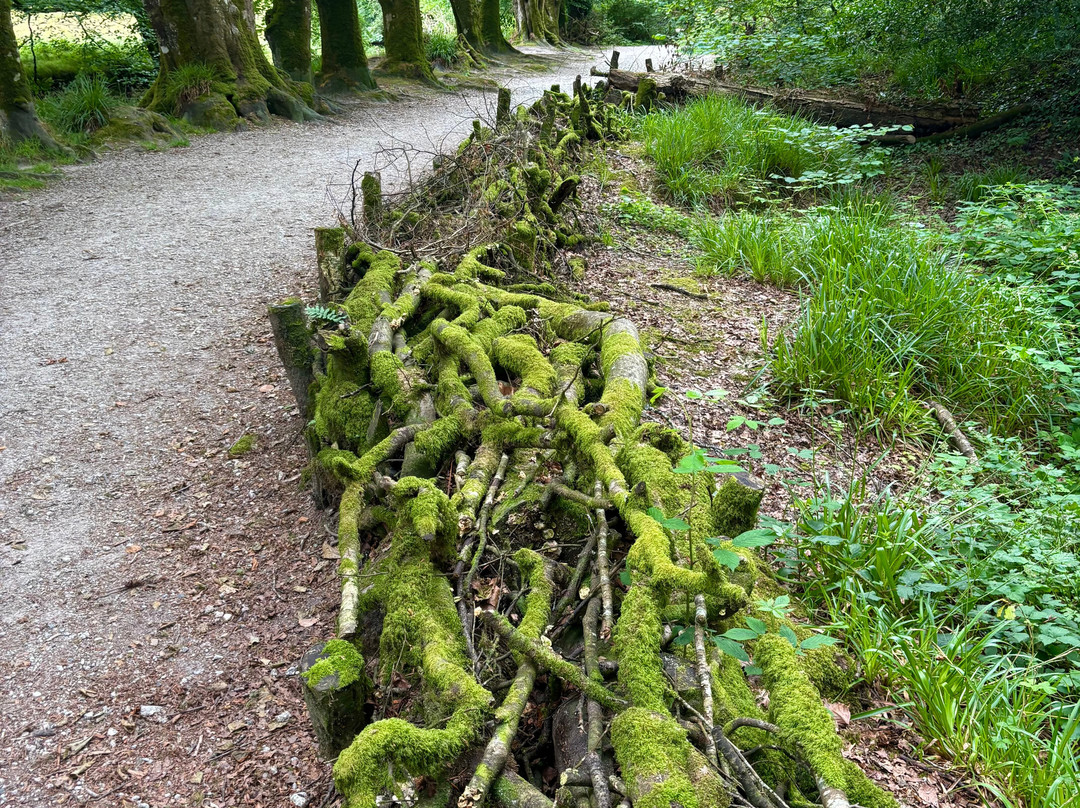 Golitha Falls-利斯卡德必去景点