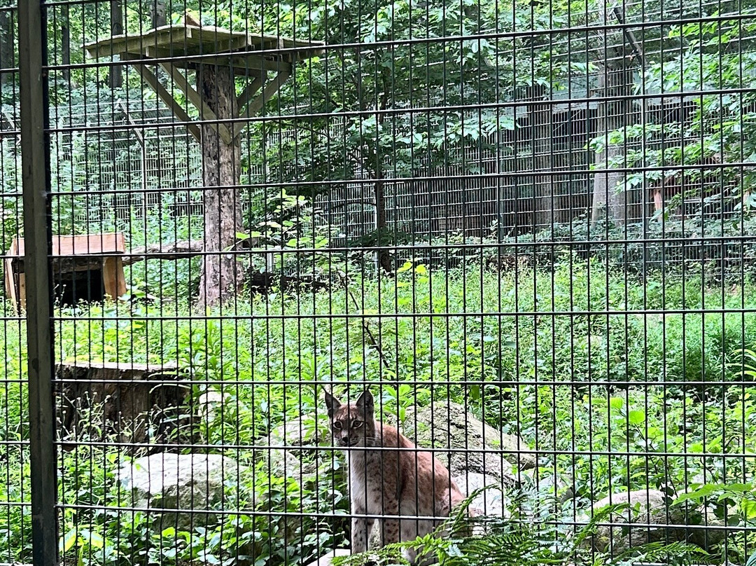 Aalborg Zoologiske Have-奥尔堡必去景点