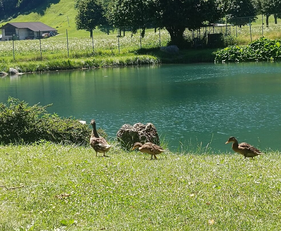 Enchanter Lake-Caderzone Terme必去景点