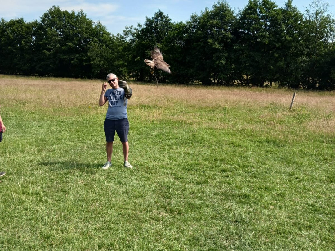 UK Owl And Raptor Centre-Groombridge必去景点