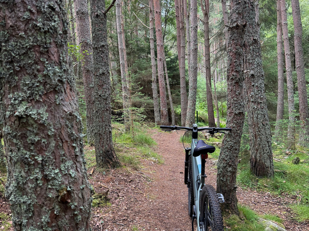 Bothy Bikes - Bike Rentals-Kingussie必去景点