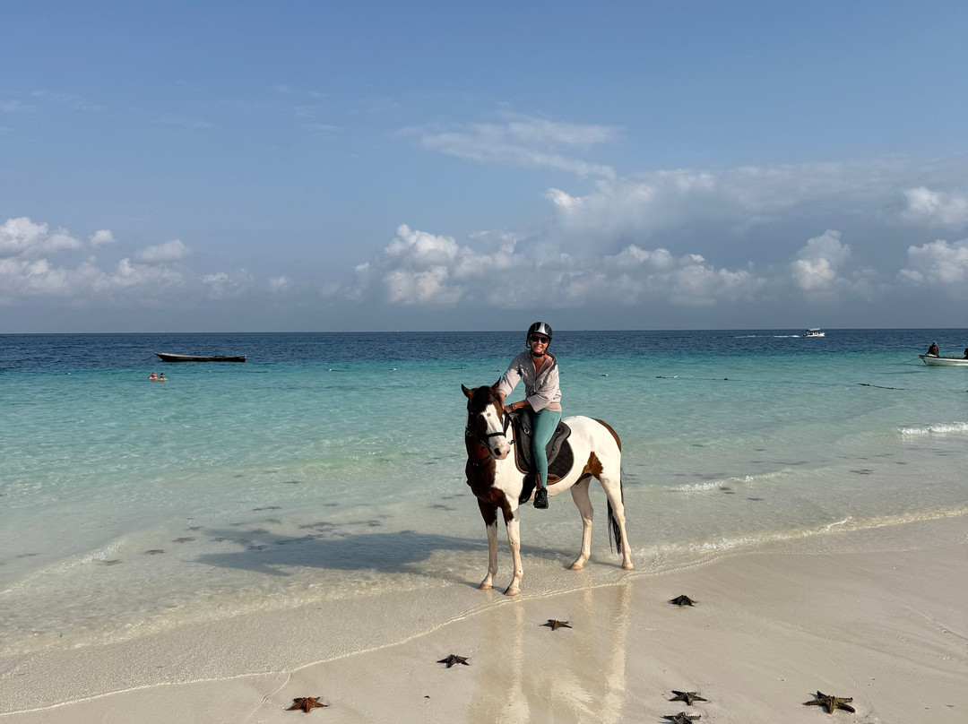 Zanzibar Horse Club-孥归必去景点