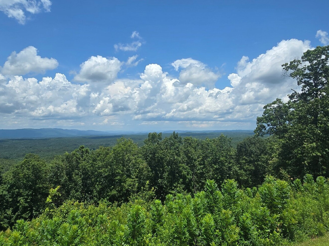 Cheaha State Park-Delta必去景点