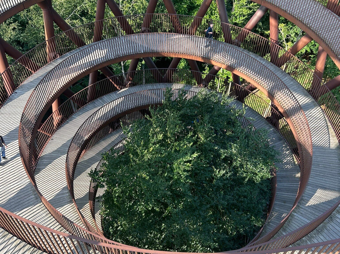 Forest Tower-Roennede必去景点