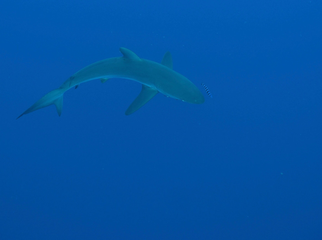 Baja Wild Encounters-La Ventana必去景点