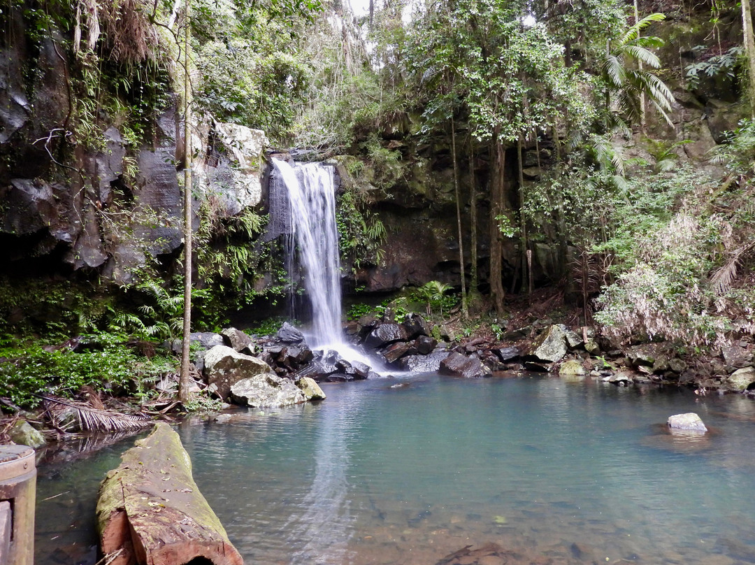 Bos Tours Queensland-Mount Tamborine必去景点