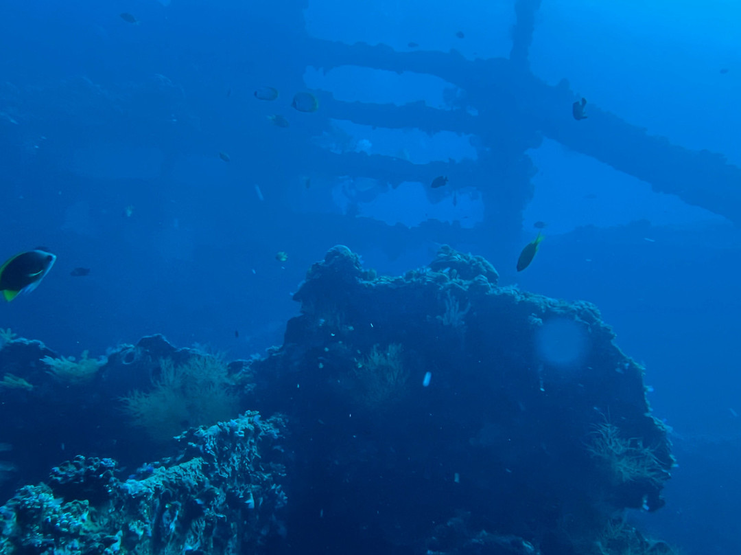 Bali Fab Dive center-艾湄湾必去景点