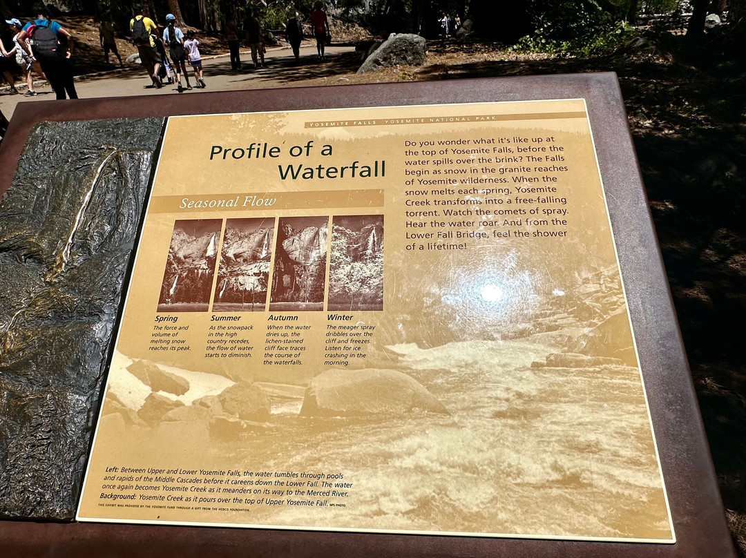 Lower Yosemite Fall Trail-优胜美地国家公园必去景点