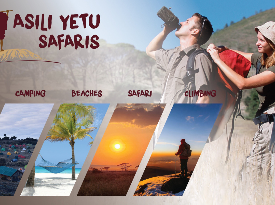 Asili yetu Safaris