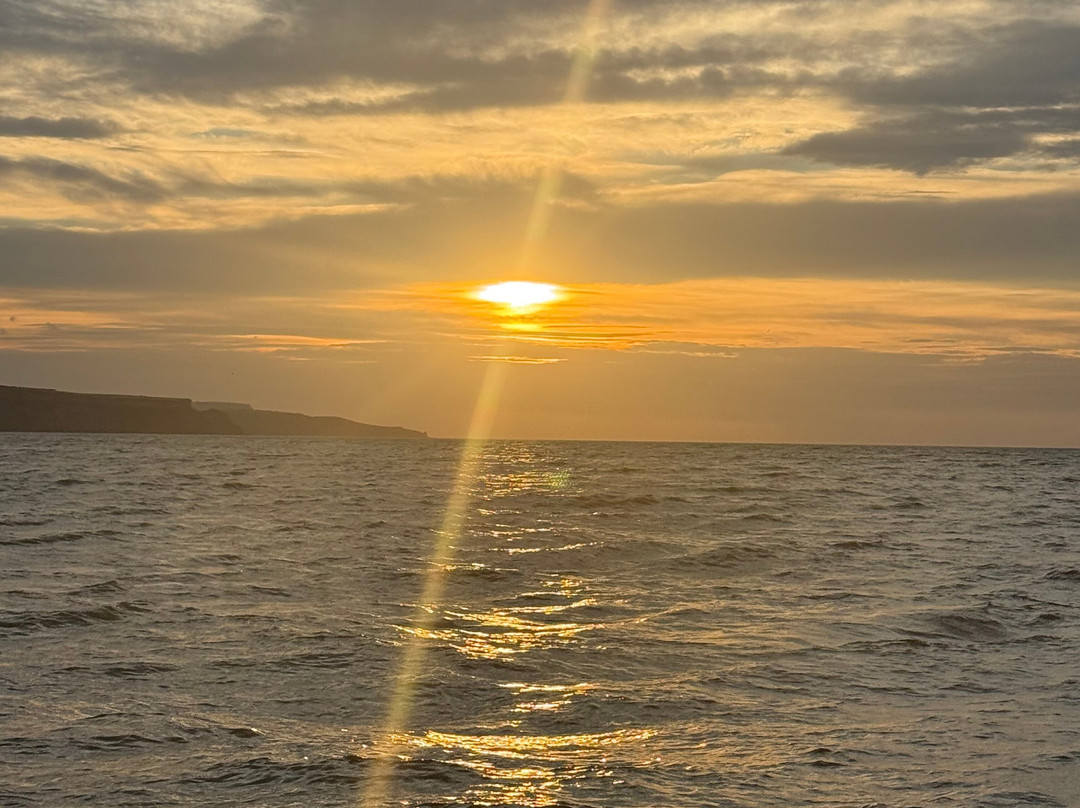 Whitby Coastal Cruises-惠特比必去景点