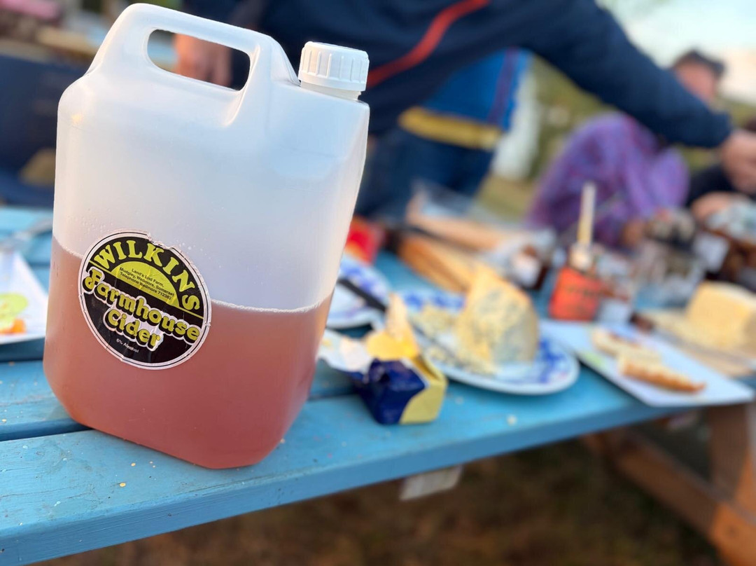 Wilkins Cider Farm-Wedmore必去景点