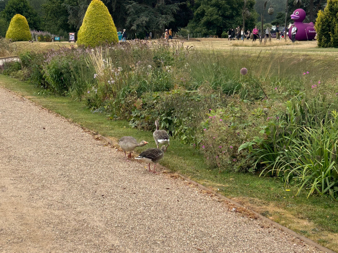 Trentham Gardens-Trentham必去景点