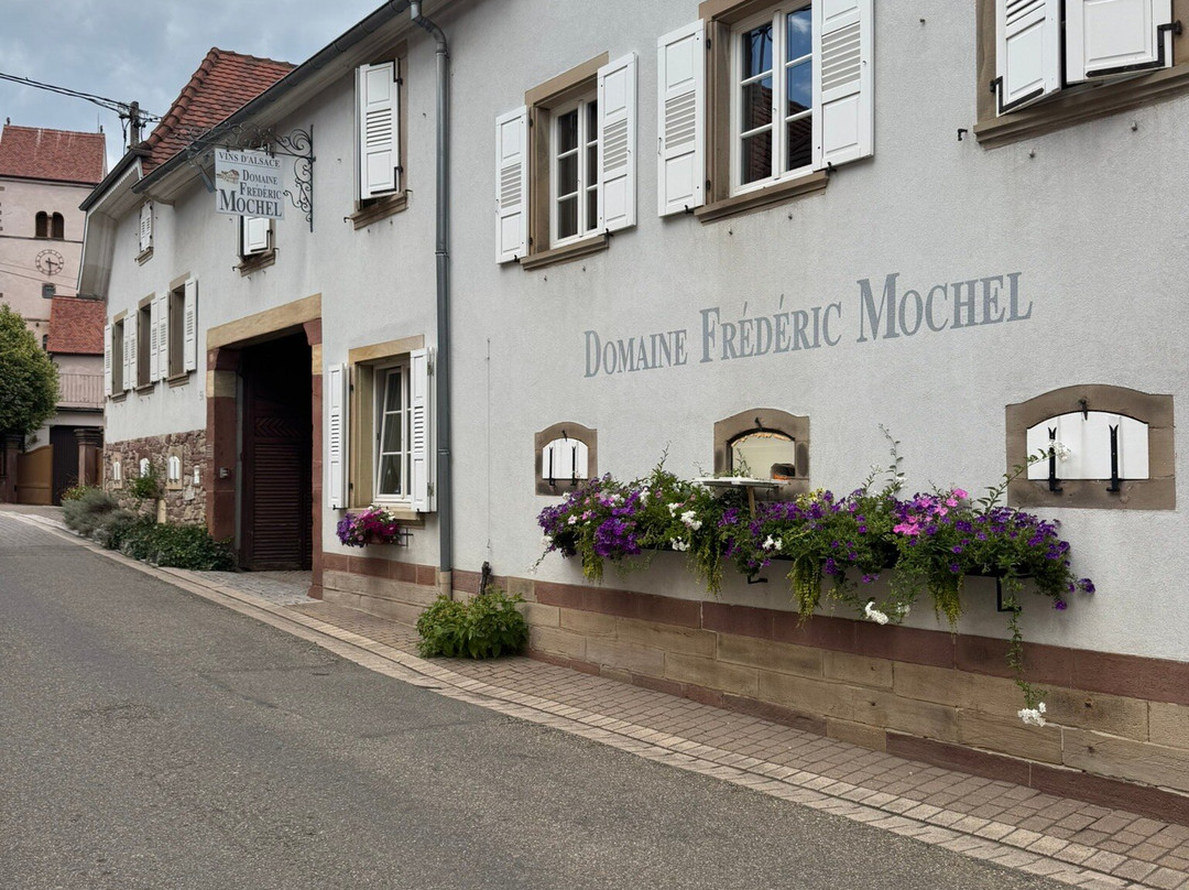 Domaine Frederic Mochel