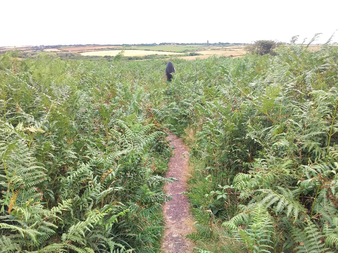 Boscawen-un Stone Circle-彭赞斯必去景点