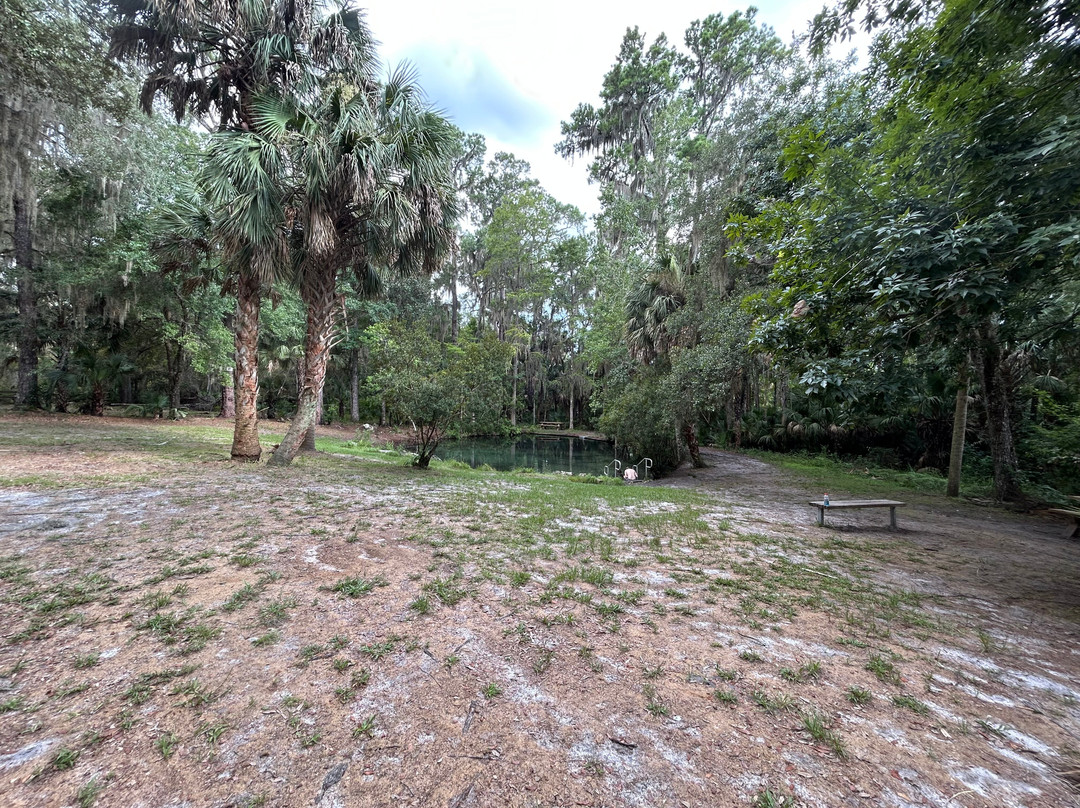 Welaka State Forest-Welaka必去景点