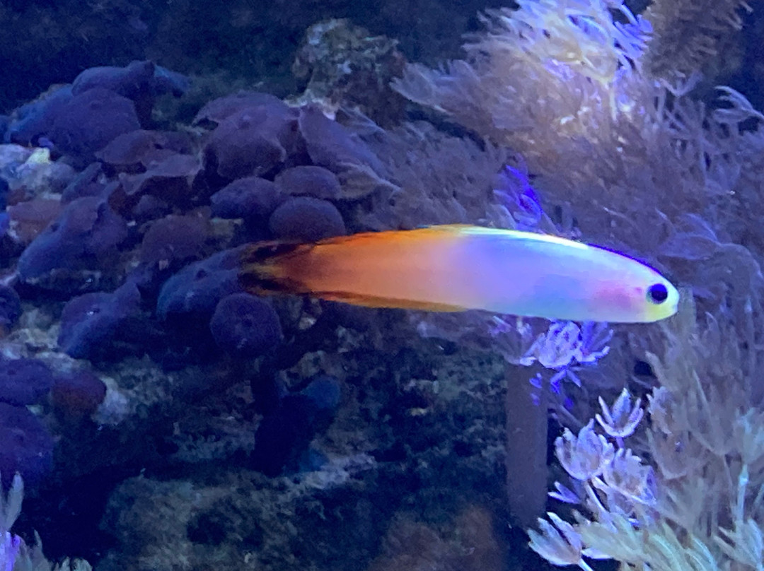 Aquarium du Limousin-利摩日必去景点
