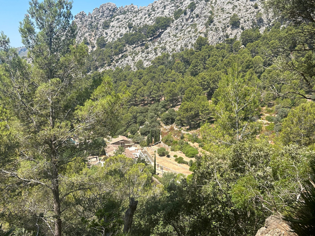 La Reserva Puig de Galatzó-Puigpunyent必去景点