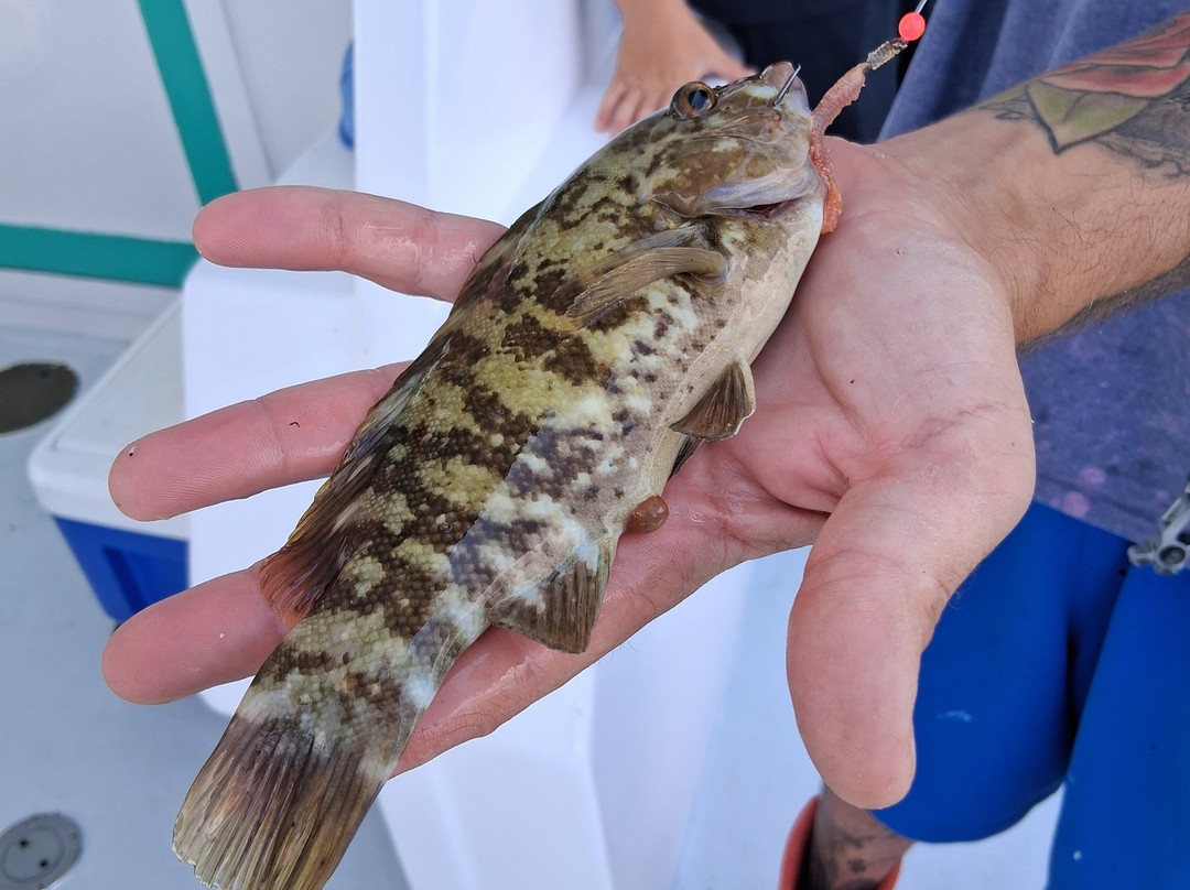 Sound Bound Fishing Charters-New Rochelle必去景点