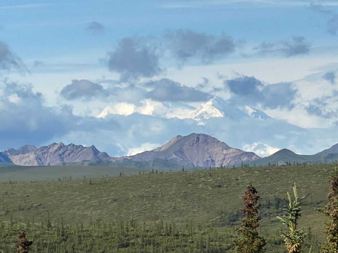 Tundra Wilderness Tour-Denali Park必去景点