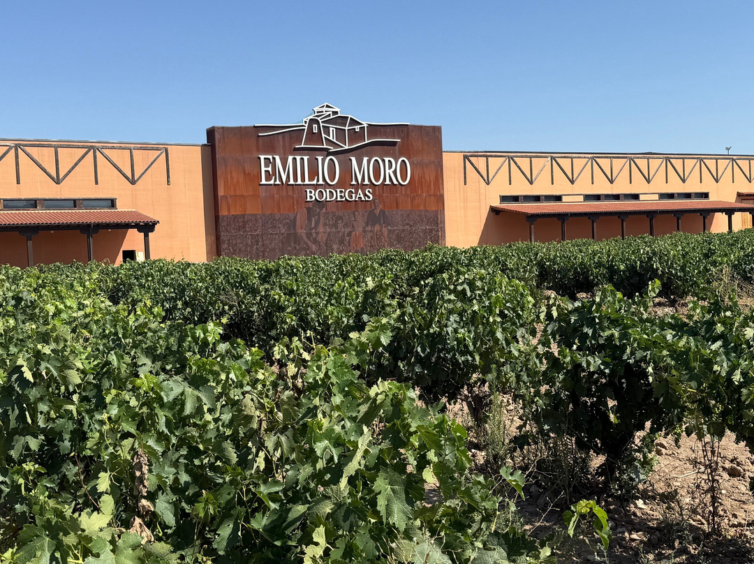 Emilio Moro Bodegas-Pesquera de Duero必去景点