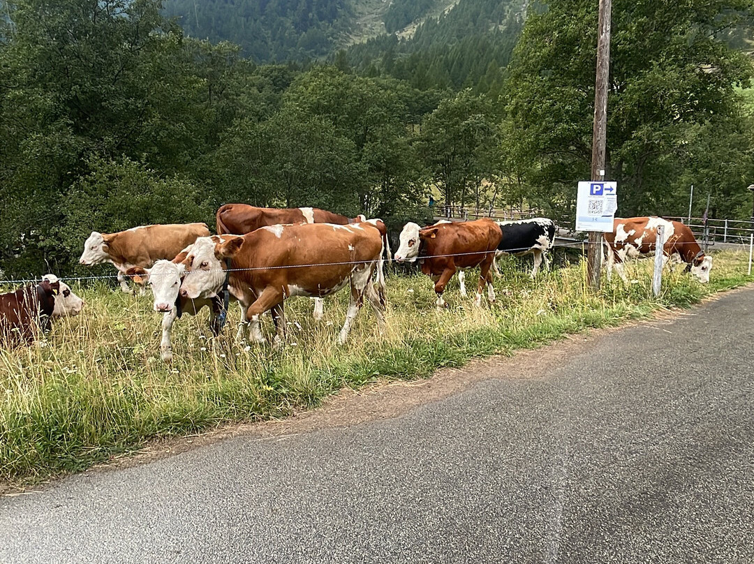 Parco Naturale Alpe Veglia Alpe Devero-Baceno必去景点
