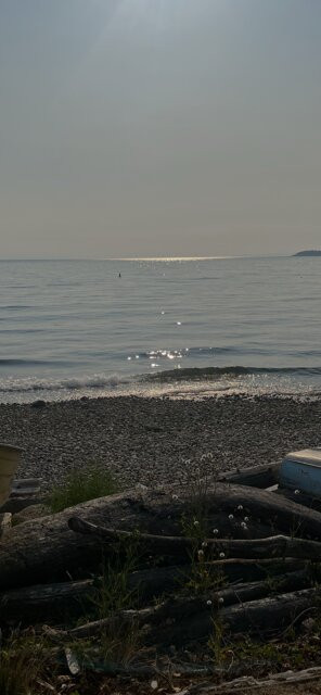 Davis Bay Beach-Sechelt必去景点