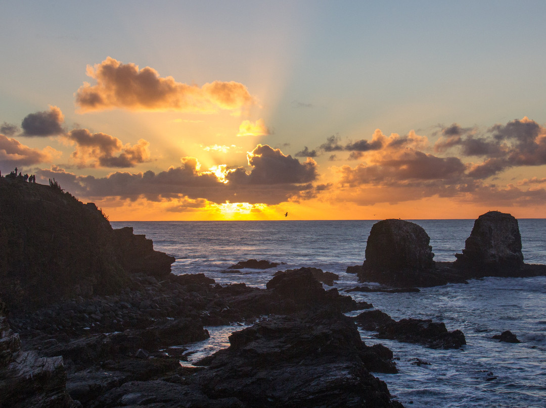 Parque Punta De Lobos-皮钦勒姆必去景点