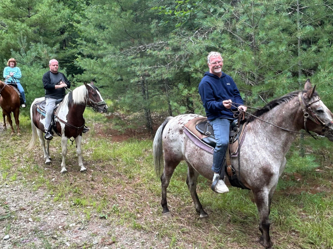 Ruggiero's Public Horseback Riding And Cabin Rentals-Lake Luzerne必去景点