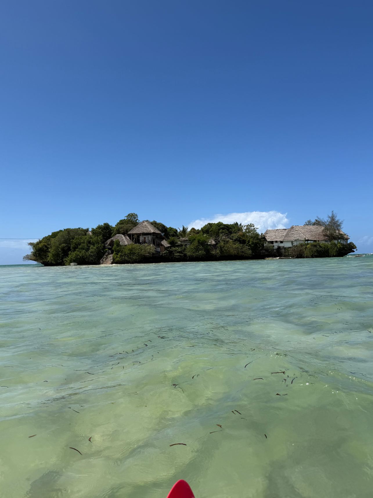 The Island - Pongwe Lodge-旅行者