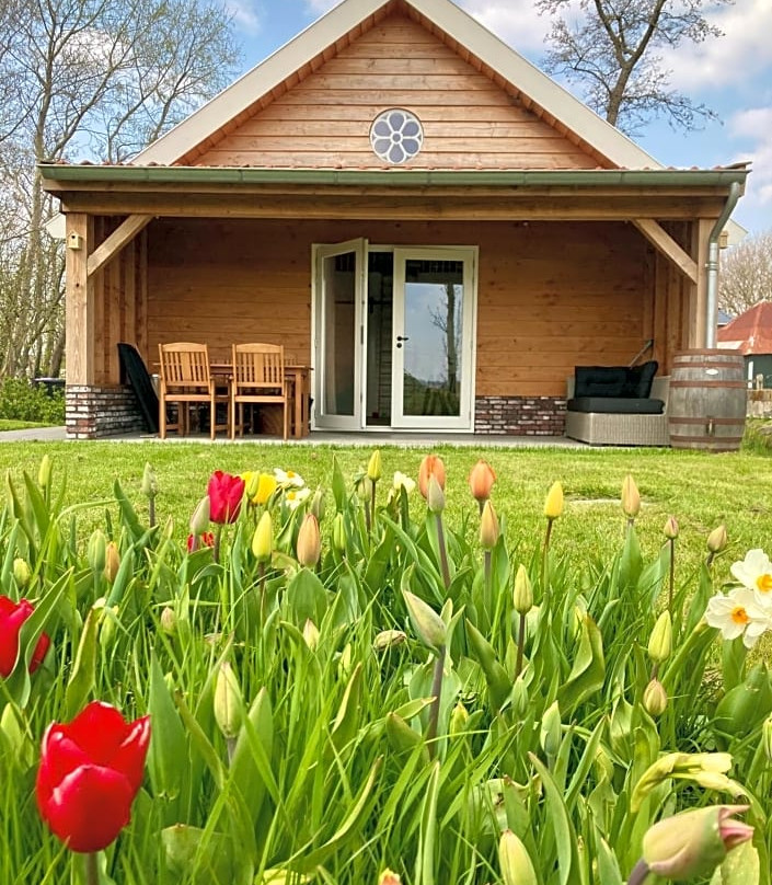 Lodges Near the Rhine - Sustainable Residence