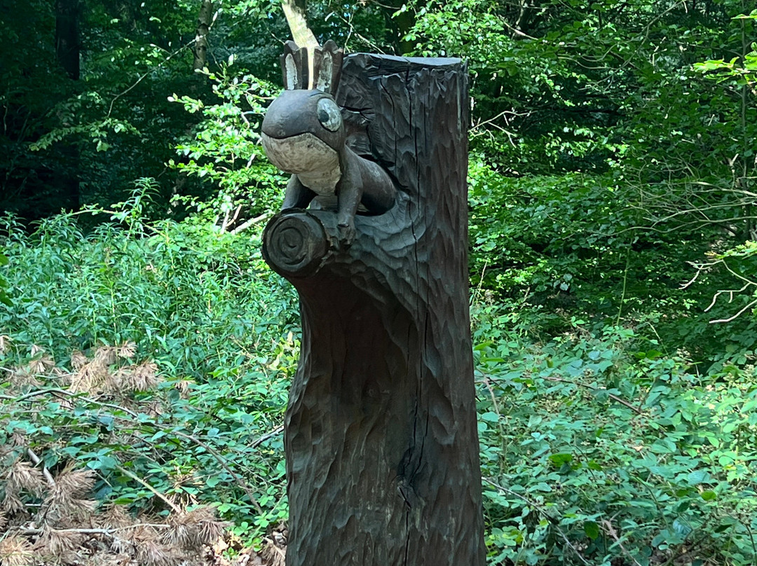 Dalby Forest-皮克灵必去景点
