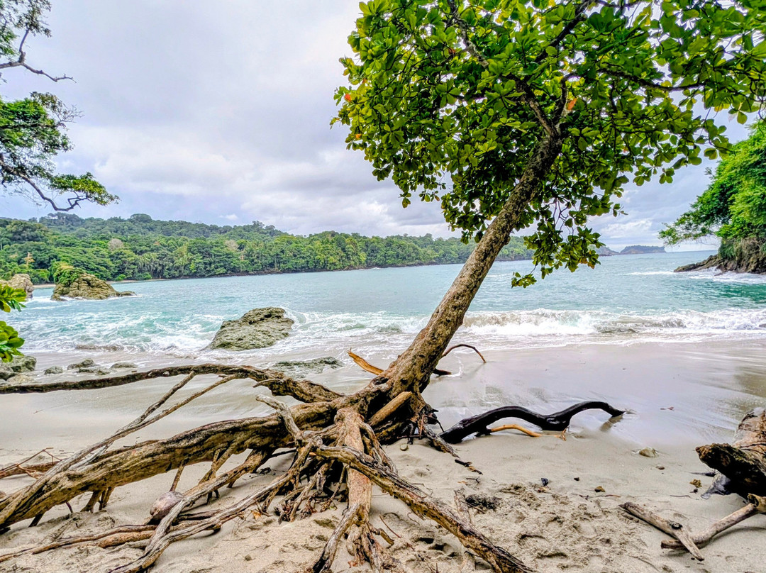 Manuel Antonio National Park-哥斯达黎加安东尼奥国家公园必去景点