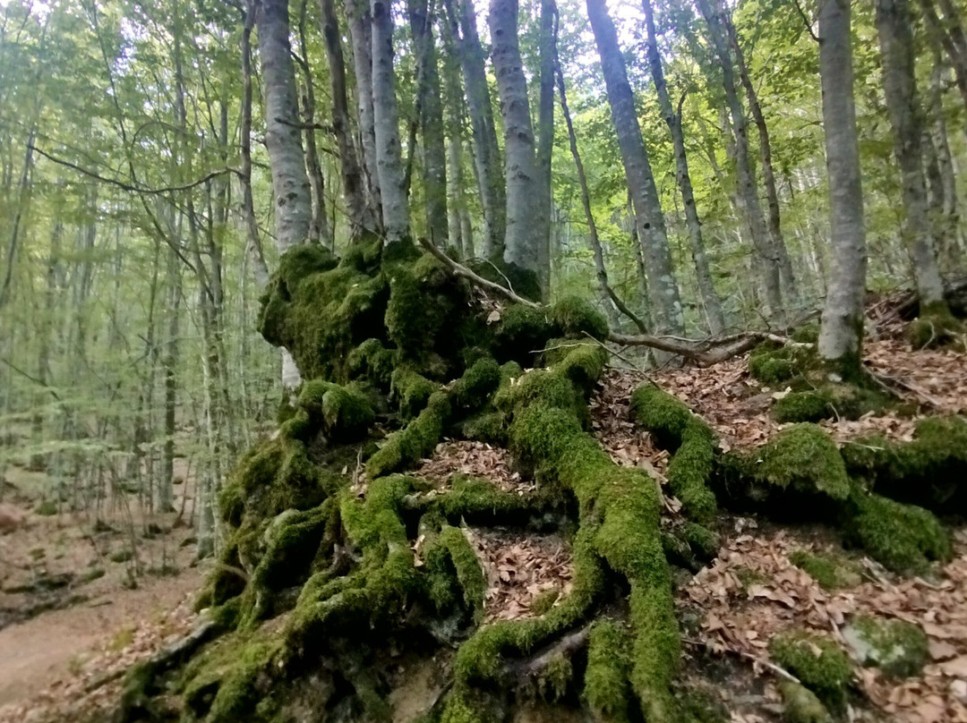 Il Sentiero Delle Cascate-Pievepelago必去景点