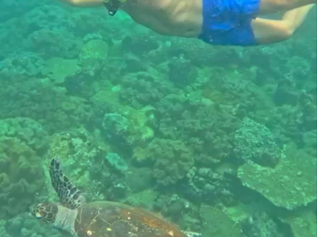 Indunil tours Sri Lanka-Deniyaya必去景点