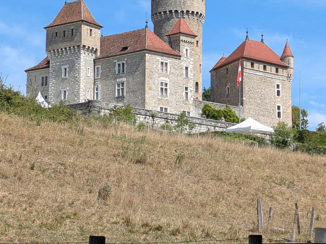Chateau de Montrottier-Lovagny必去景点