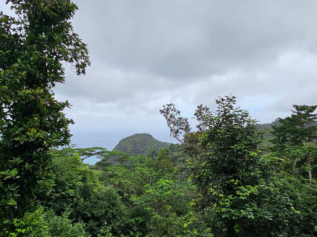Mission Lodge Lookout-维多利亚必去景点
