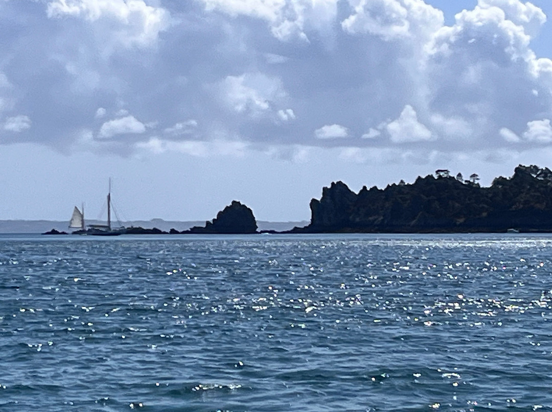 Vedettes Sirenes - Grottes Marines de Morgat-Morgat必去景点